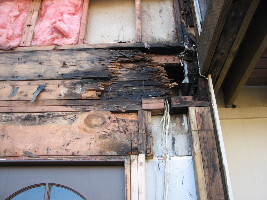 close up image of dry rot caused by interior water intrustion in Marin