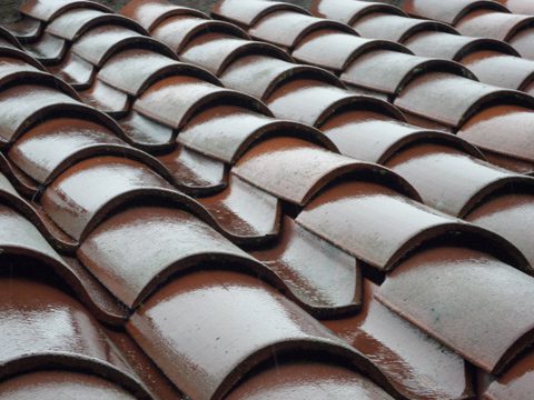 Tile roof after the rain.