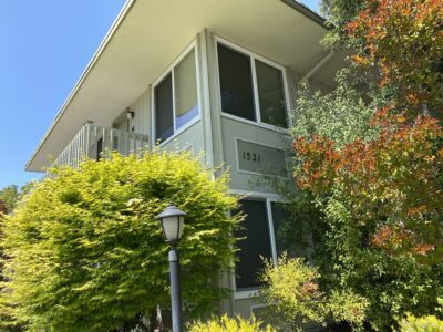 Roof Maintenance Novato