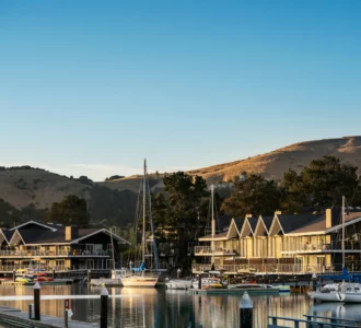 Thumbnail of http://Cove%20at%20Tiburon,%20CA%20Reroofing