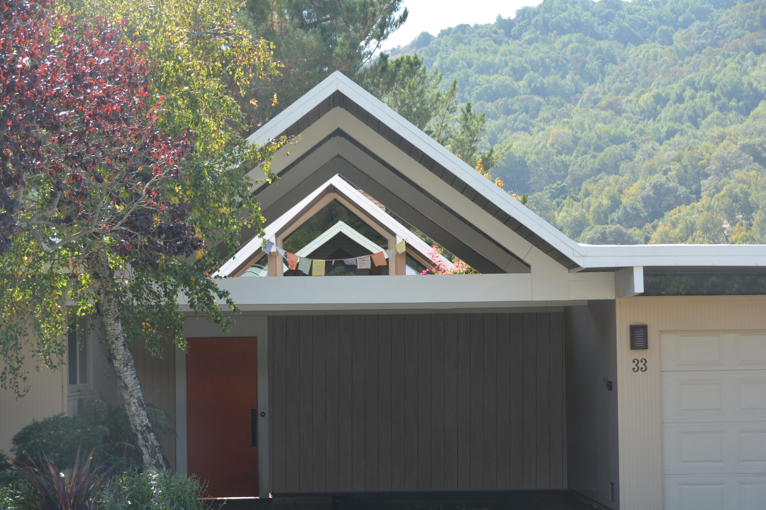 Eichler Roof Coating 1 Wedge Roofing