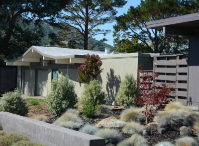 Marin Eichler Flat Roof Repairs and Coating