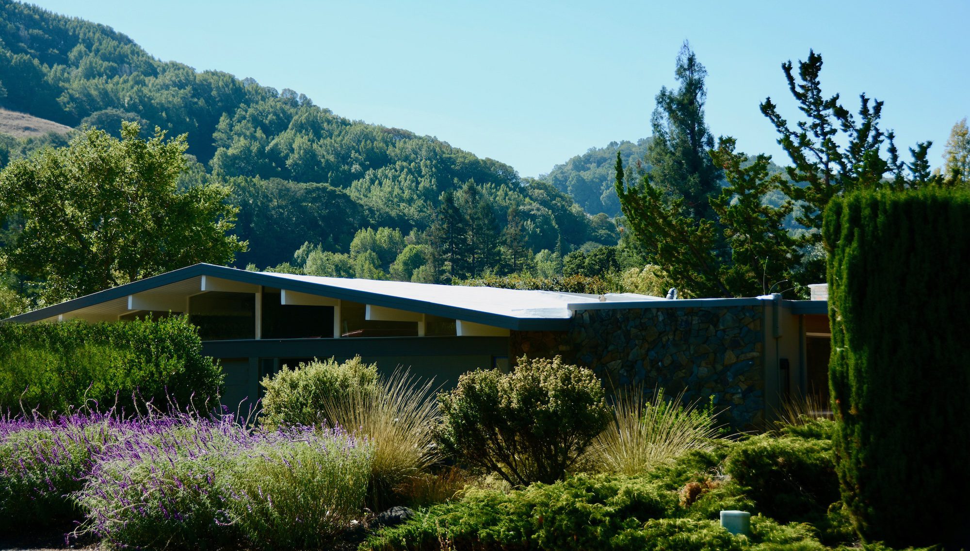 Marin County Eichler Roof Coating