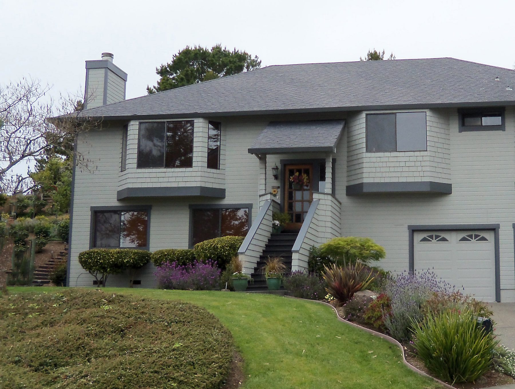 IKO Shingle Roof Marin County