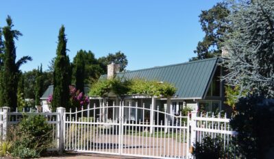 Azzaro Vineyards