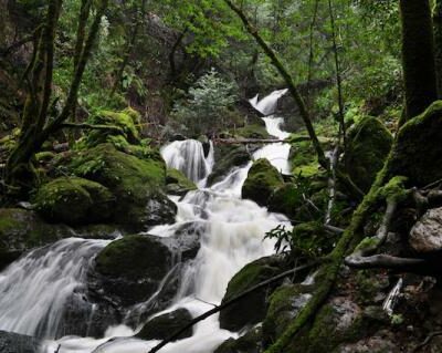 Marin County Rain, Cataract Falls