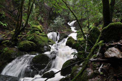 Marin County Rain Results in Spectacular Waterfalls