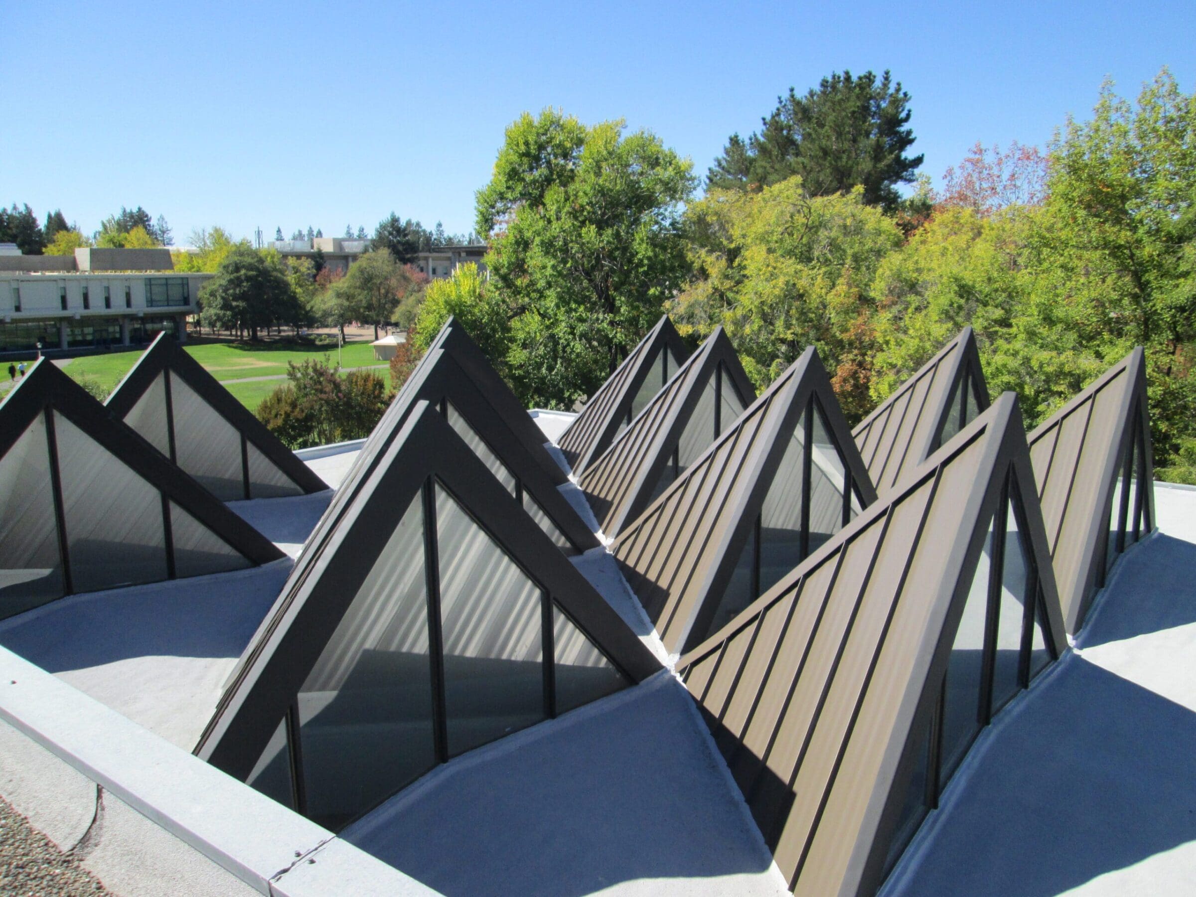 Skylights, Gutters, and Roof Drains