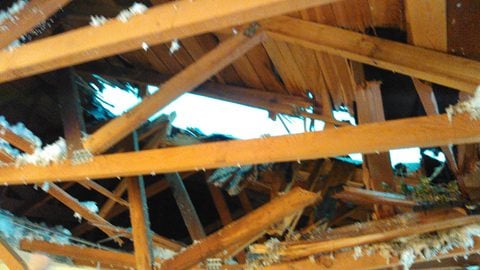 structural roof damage from fallen tree