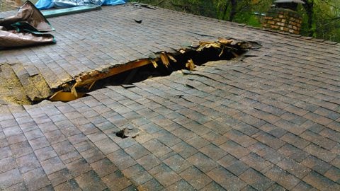 roof damage from fallen tree