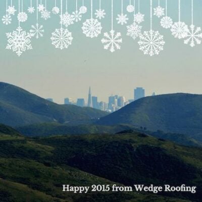 bay-area-happy-new-year-millvalley-marin_0