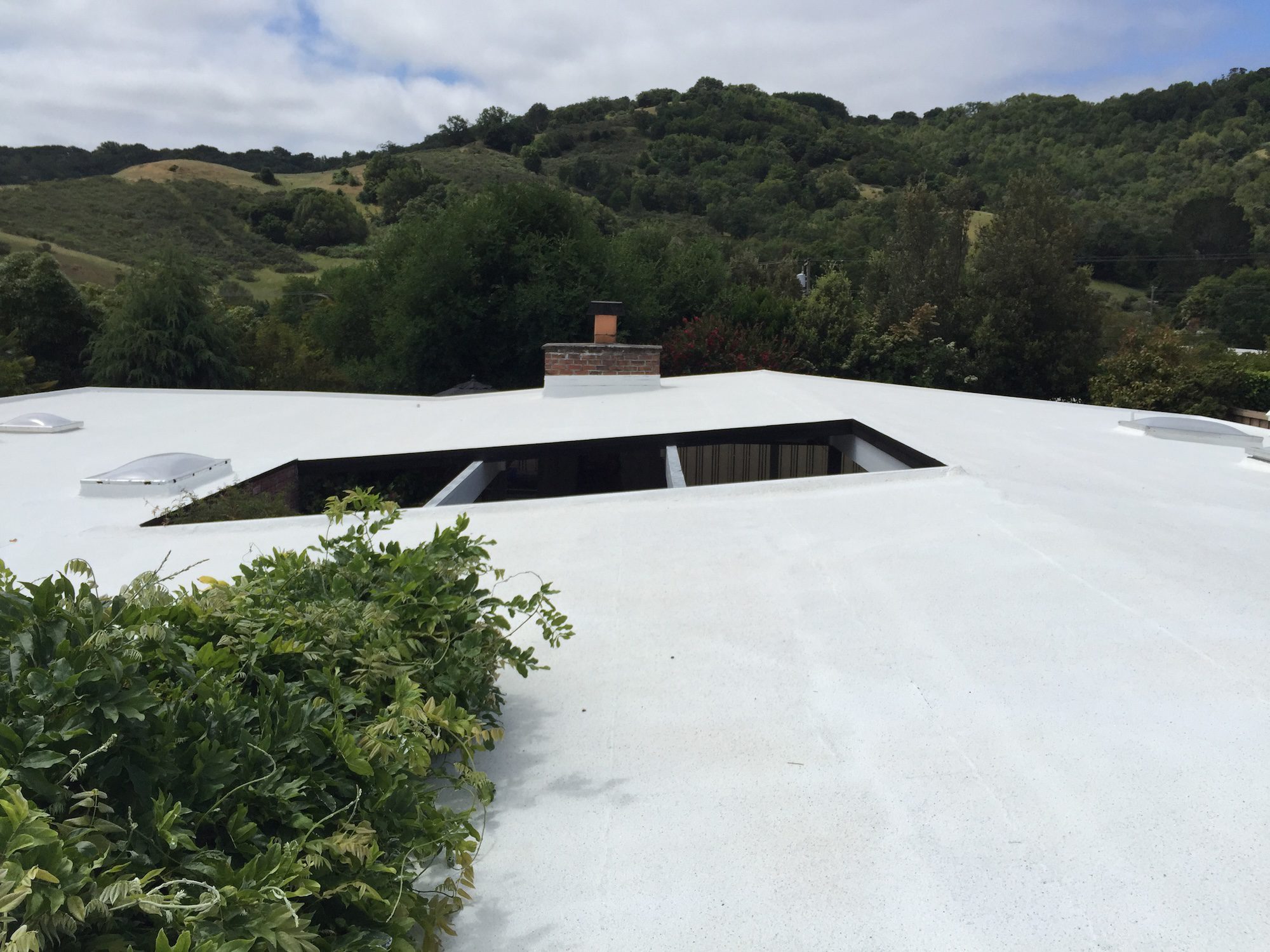 Eichler Single-Ply Roof Coating.