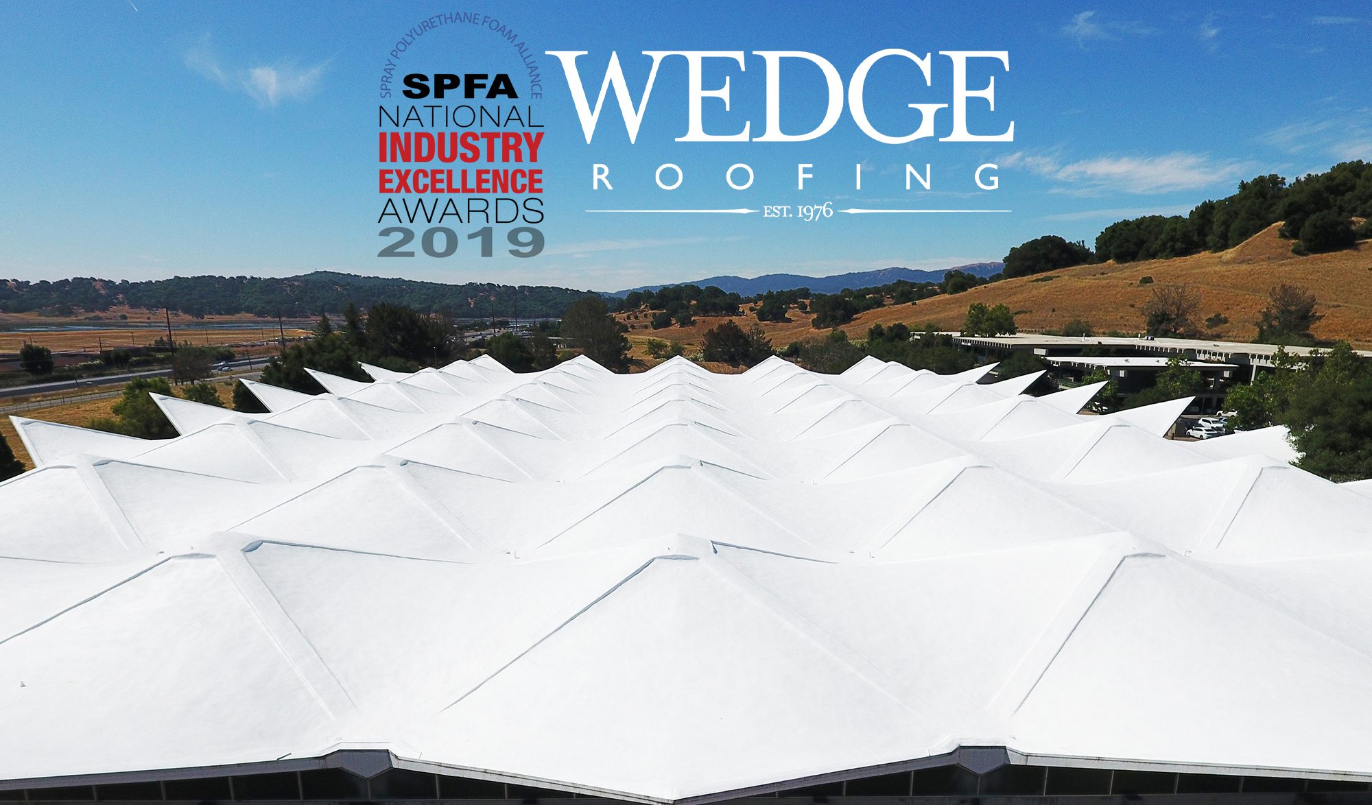 Award-Winning Birkenstock Foam Roof