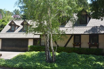Tiburon Shingle Roof 3