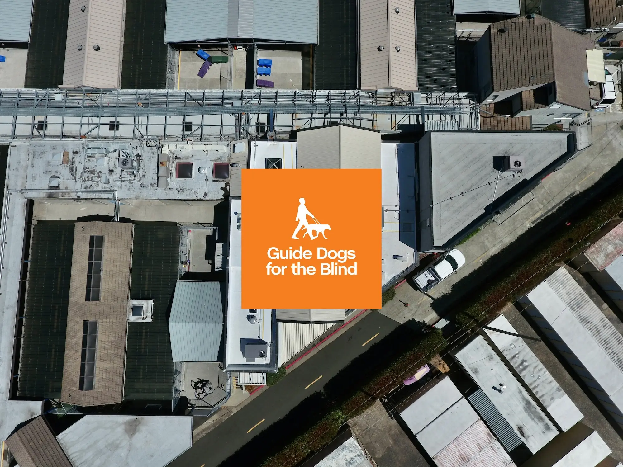 Guide Dogs for the Blind Roof Installation