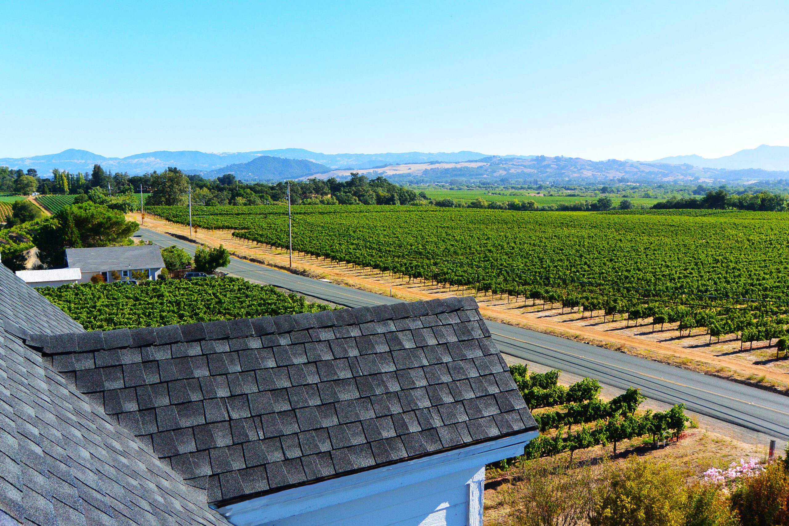 Healdsburg Vineyard Home