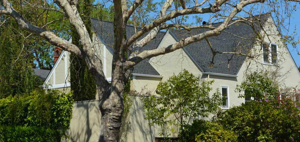 Composition shingle roof in San Anselmo, Marin County