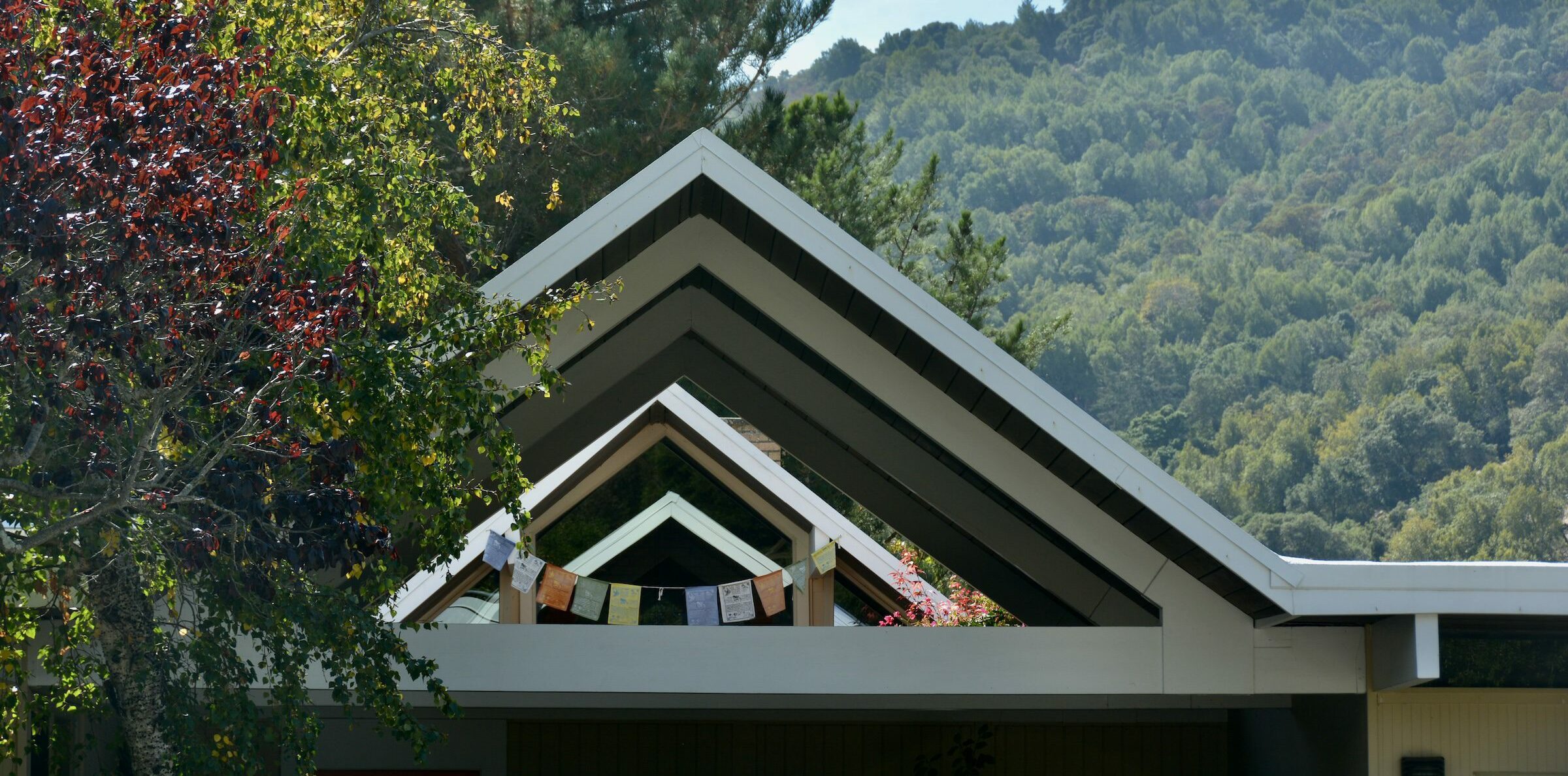 Marin Eichler Flat Roof Coatings