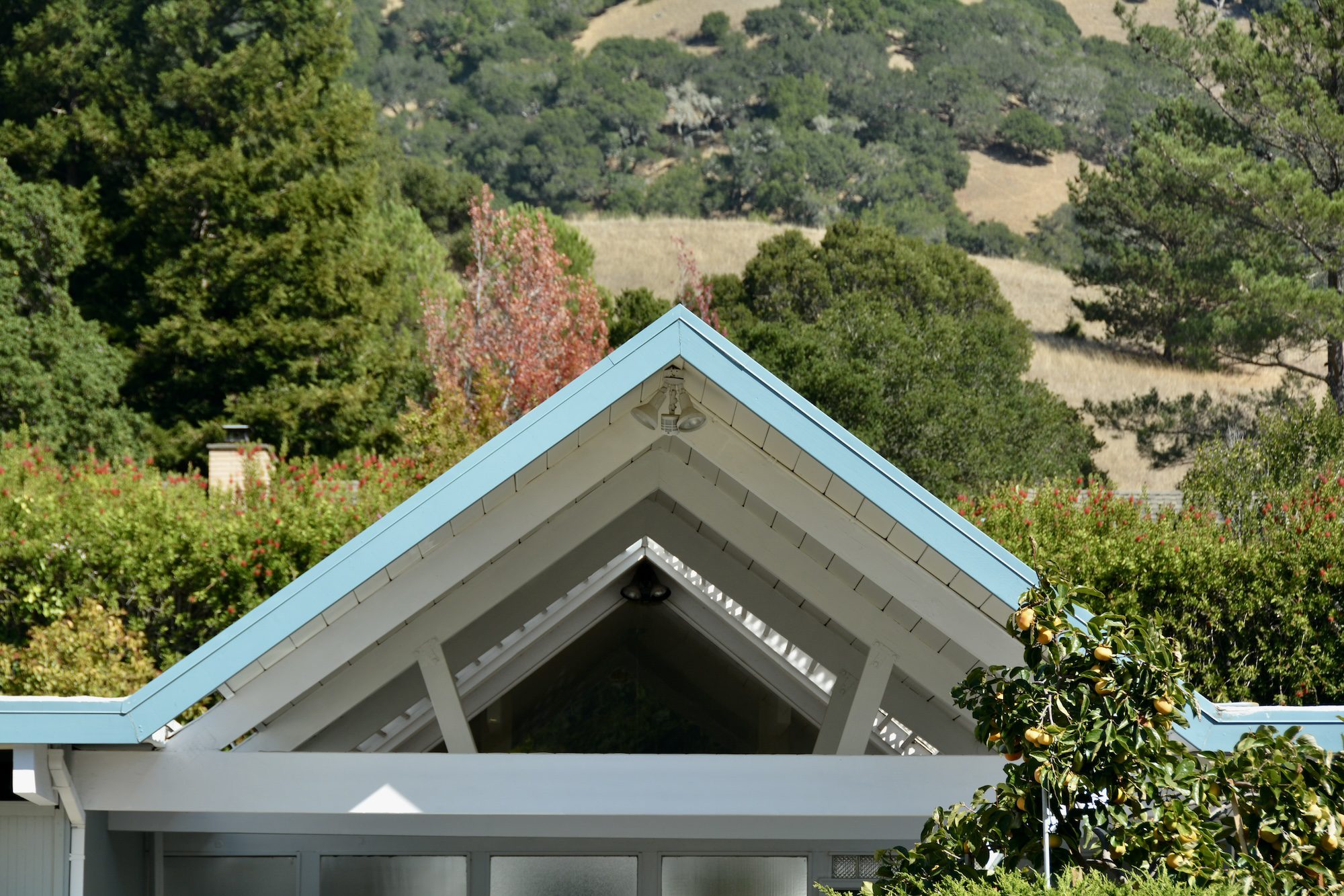 Marin County Eichler Roof Repairs and Coating