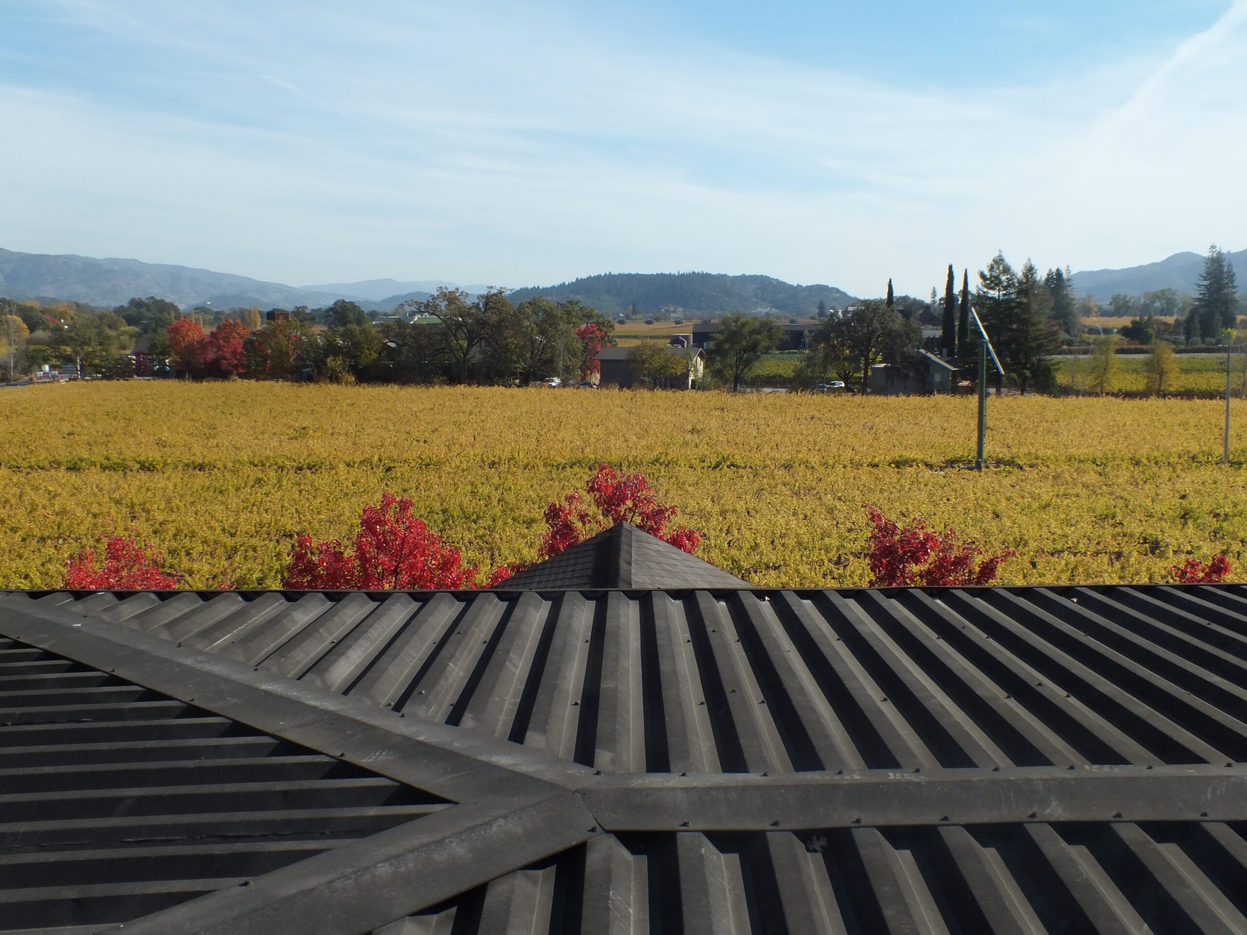 Metal Roof Repairs and Maintenance Cakebread Cellars Napa, CA