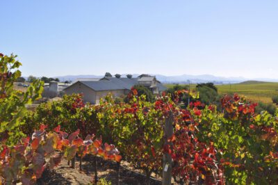 Peju Province Winery Roofing Napa