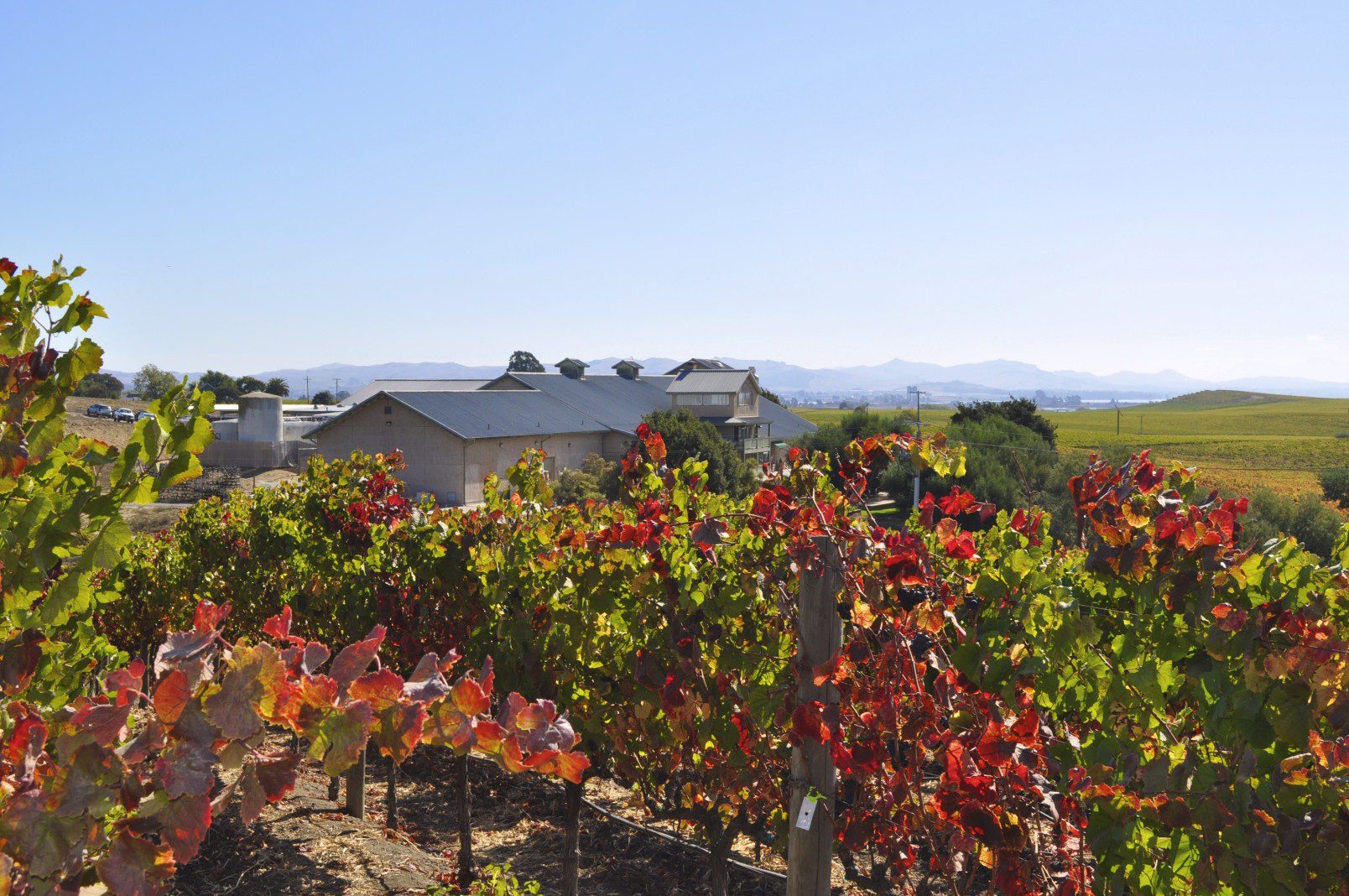 Winery foam insulation