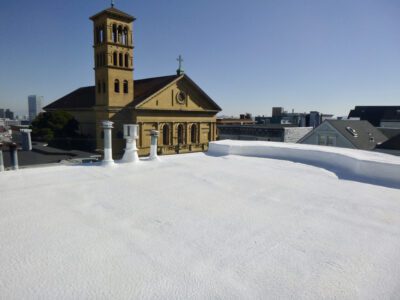 Alamo Square Historic Roof