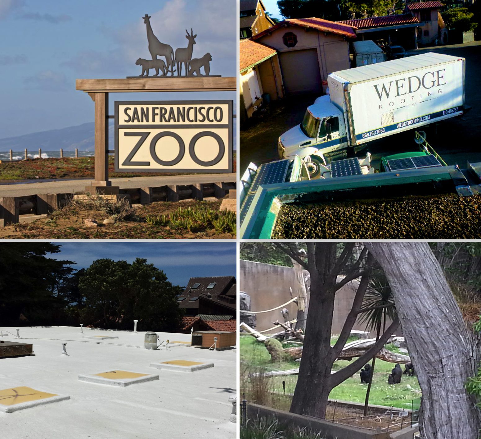 San Francisco Zoo Roofing
