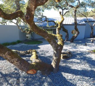 Thumbnail of http://Santa%20Rosa%20metal%20and%20spray%20foam%20roof.