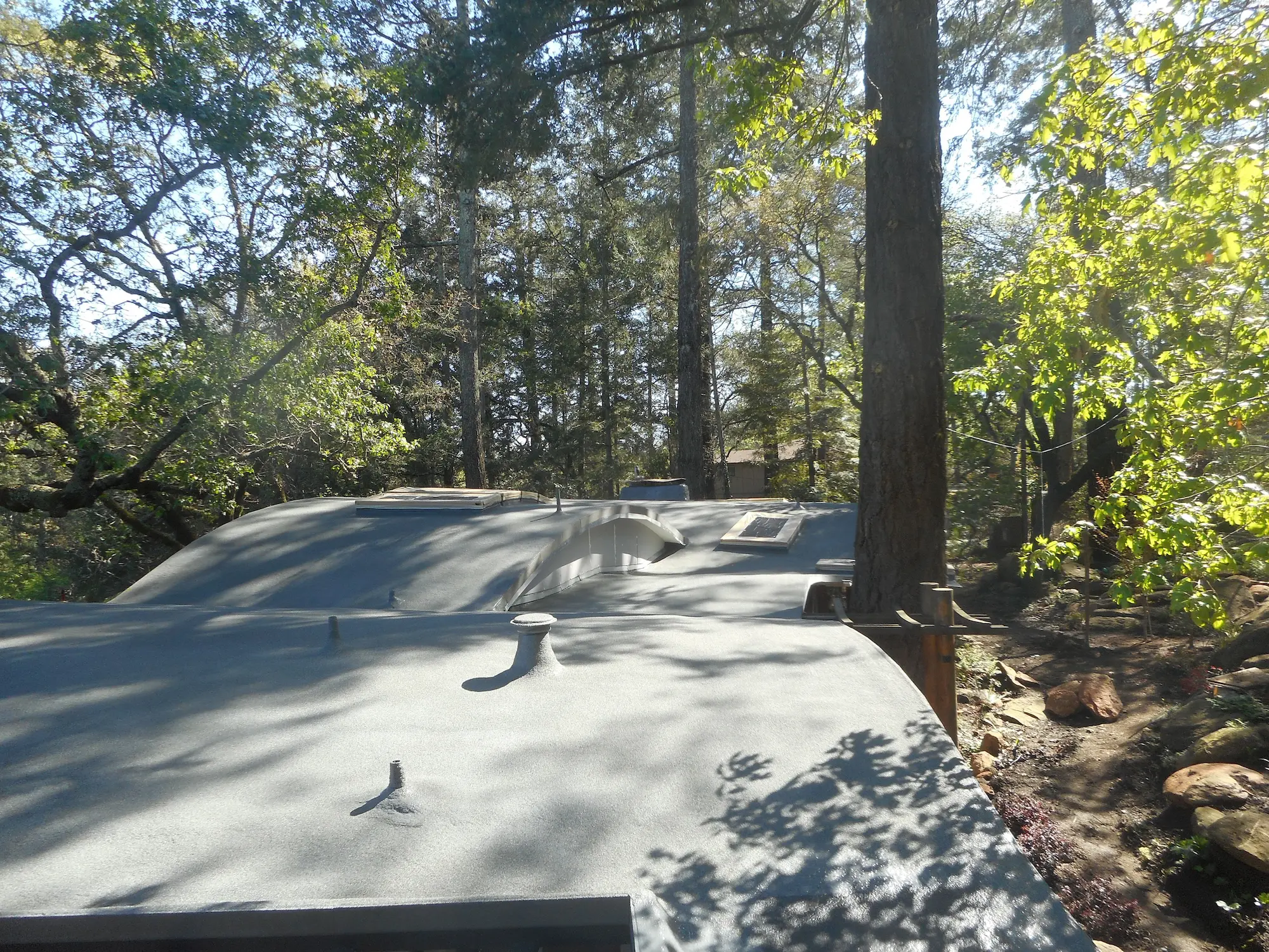 California’s Manzanita House: Modern Organic Architecture with Undulating Parabolic Roof